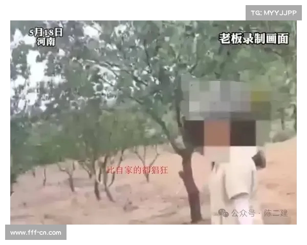 两女子偷杏被抓后反责老板小气竟以此为由拒绝赔偿遭媒体热议 两女子偷杏被抓后反责老板小气竟以此为由拒绝赔偿遭媒体热议